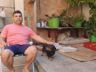 Motorista que atropelou e matou duas cadelinhas dá sua versão sobre o acidente