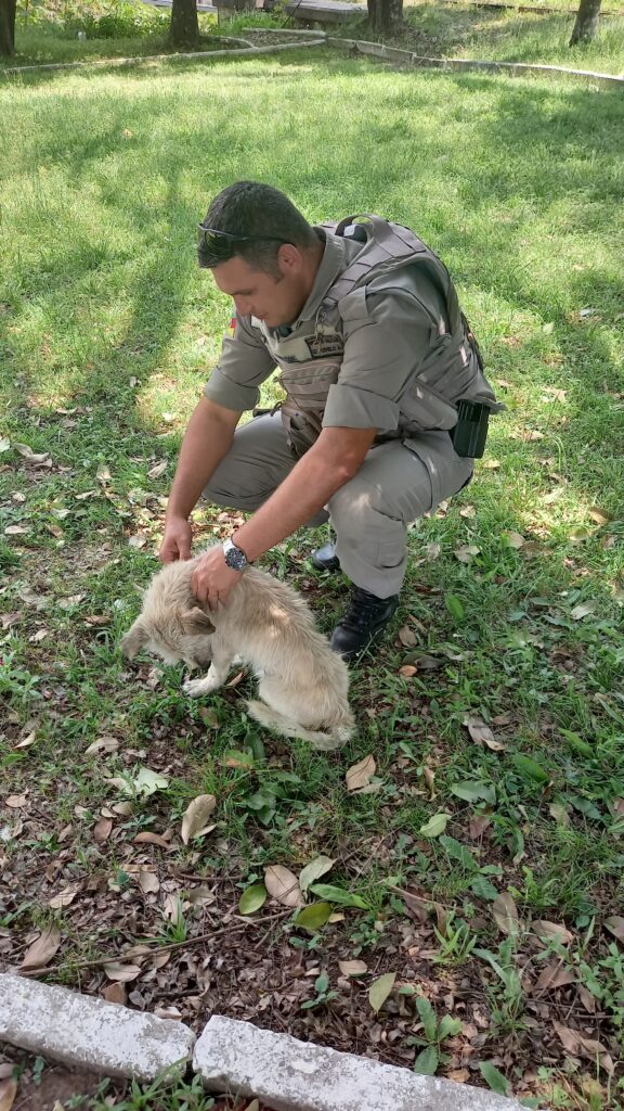 Cão deixado para morrer em pilar da Ponte Férrea foi resgata por PM