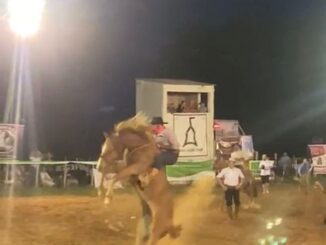 Ginete Alex Lelé teve Volta de Honra por melhor montaria