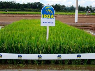 IRGA