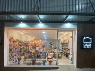 Loja Casa Guapa - a conexão perfeita de decoração e afeto na sua casa