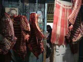 MP prende suspeitos de vender carne de cavalos abatidos clandestinamente a restaurantes no RS