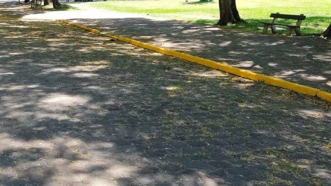 Faixa amarela já é uma realidade no Parque dos Patinhos Faixa amarela já é uma realidade no Parque dos Patinhos