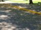 Faixa amarela já é uma realidade no Parque dos Patinhos