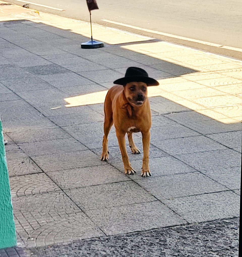 Guapa de chapéu em Alegrete