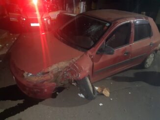 Carro bate e arranca árvore na Avenida Doutor Lauro Dorneles