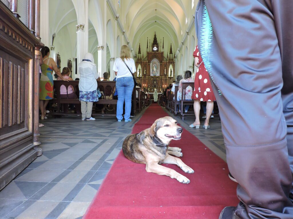 Muita devoção e fé na missa em homenagem à Padroeira de Alegrete