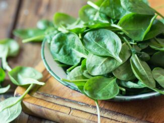 Espinafre é um dos alimentos mais benéficos para a saúde