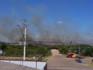 Focos de incêndio em campo ameaçaram residências neste domingo