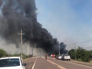 Focos de incêndio em campo ameaçaram residências neste domingo