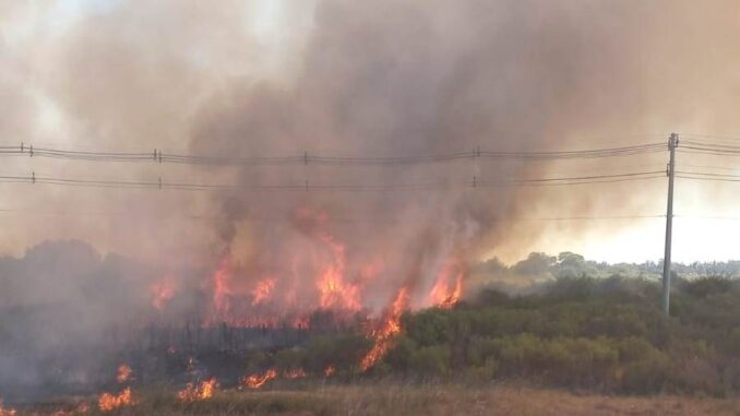 Incêndio de grandes proporções atinge vegetação em Alegrete Incêndio de grandes proporções atinge vegetação em Alegrete
