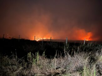 Novas imagens e relatos do fogo no interior são assustadores