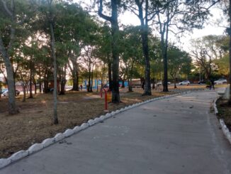 Ação Social e parceiros trabalham para devolver a Praça Nova à população