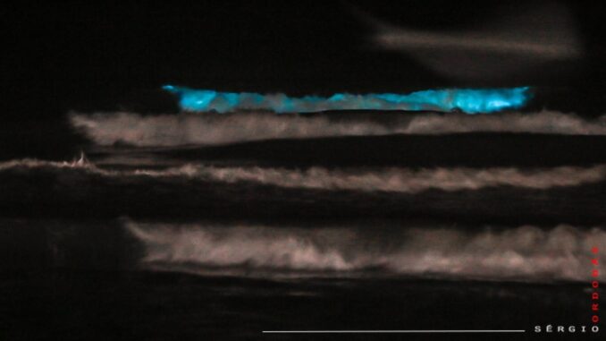 Fotógrafo registra cores fluorescentes no mar no RS; veja imagens e entenda o fenômeno
