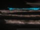 Fotógrafo registra cores fluorescentes no mar no RS; veja imagens e entenda o fenômeno
