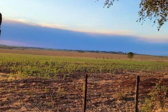 Bombeiros gaúchos vão à Argentina combater incêndio florestal próximo a São Borja 