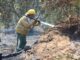 Bombeiros gaúchos vão à Argentina combater incêndio florestal próximo a São Borja 