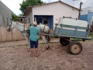 Cavalo com patas feridas foi apreendido enquanto puxava carroça carregada