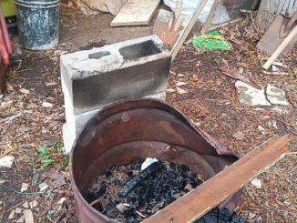 Churrasco de cão