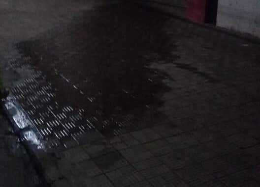 IMG-20220227-WA0008
