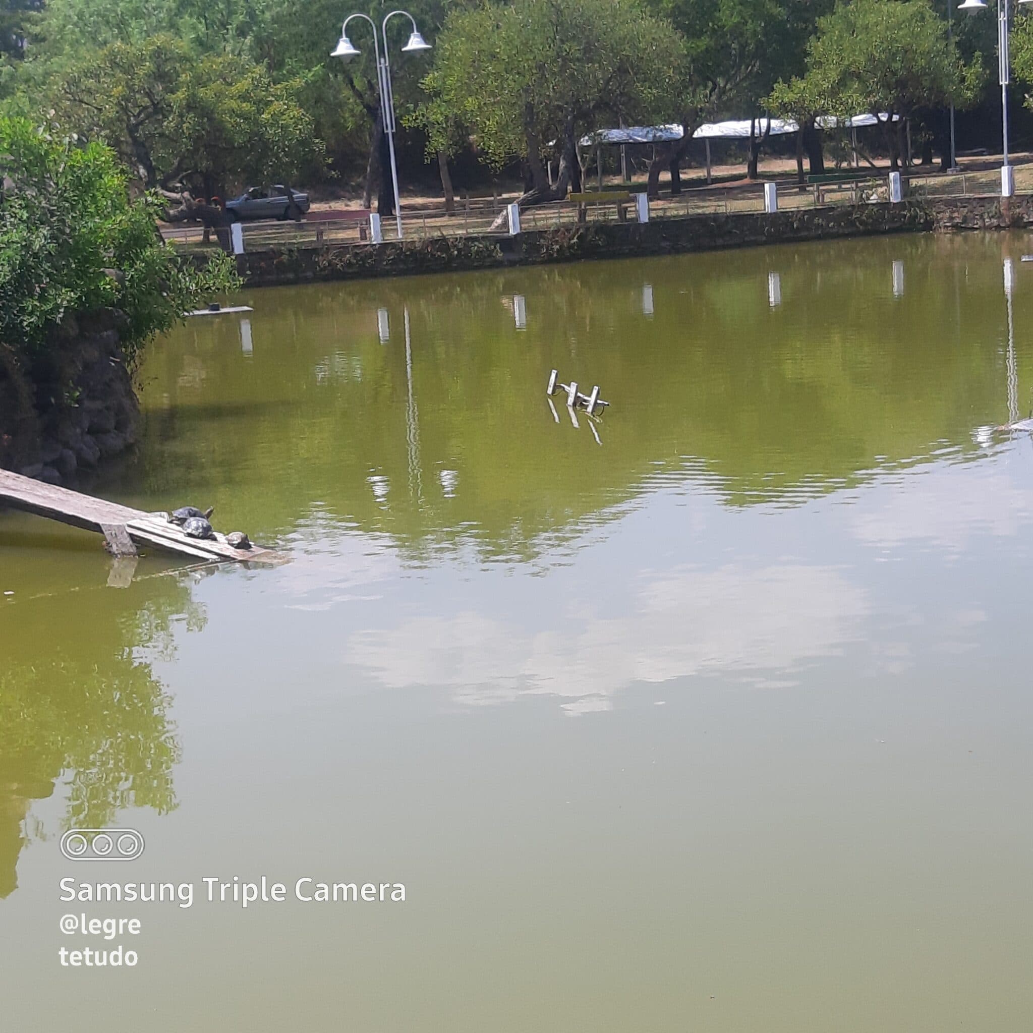 Lago do Parque Rui Ramos