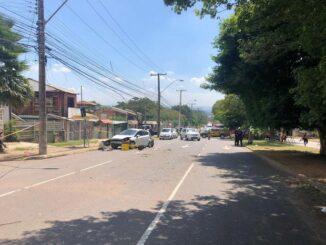 Gari morre ao ser atropelada por carro na zona norte de Porto Alegre
