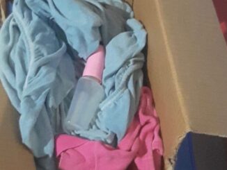 Mãe abandona bebê em SC e deixa carta em caixa de papelão: "Por favor, cuidem dela"