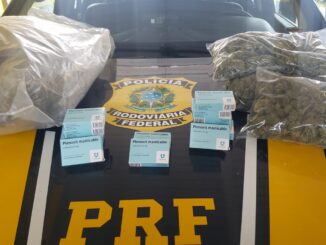 PRF prende traficante com "supermaconha" na BR 290