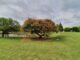 Parque Rui Ramos