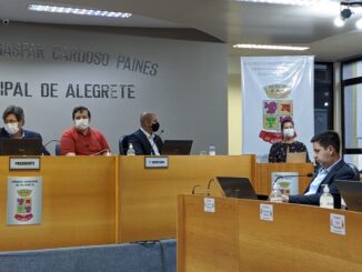 Professora Ana Parisi diretora do IFFar na Câmara