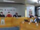 Professora Ana Parisi diretora do IFFar na Câmara