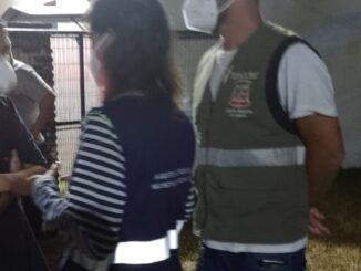 Festa clandestina com mais de 400 participantes, muitos menores, foi interditada