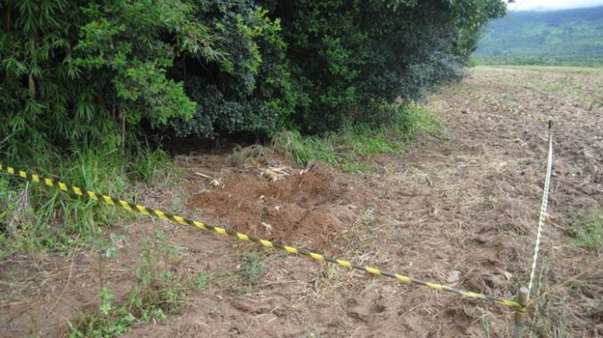 Homens encontrados em cova rasa teriam sido mortos após cobrarem dívida de tráfico de drogas Homens encontrados em cova rasa teriam sido mortos após cobrarem dívida de tráfico de drogas