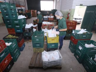 Alimentos excedentes em mercadoss