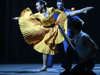 Dandara Amorin Veiga- bailarina