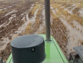 Trabalhador arando a terra abaixo de chuva