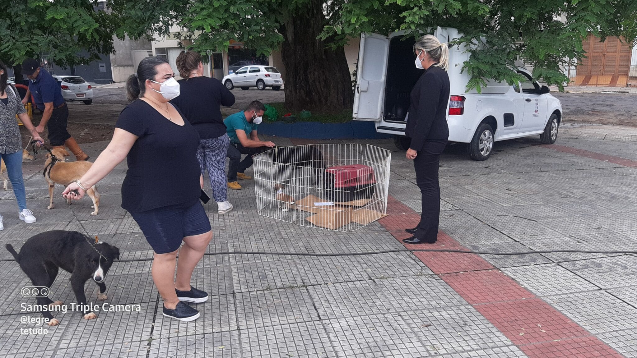 Canil Municipal na Feira da Saúde e 