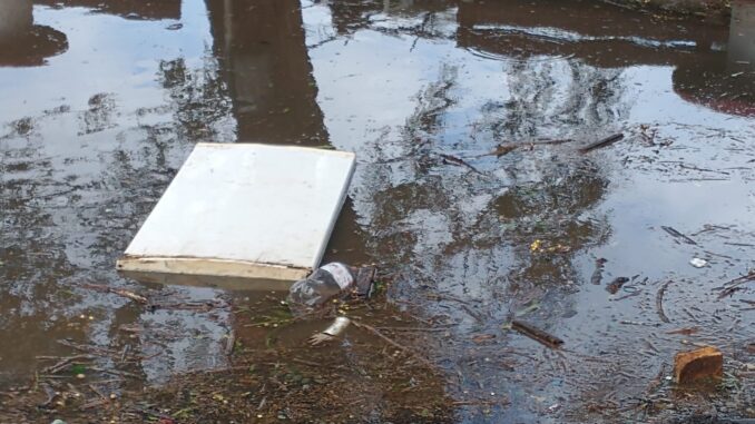 Lixo recolhido e com chuva voltou pro Rio Lixo recolhido e com chuva voltou pro Rio