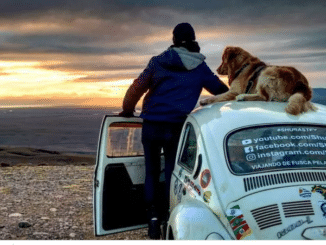 Acidente nos EUA mata influenciador e golden retriever de SC que viajavam em Fusca