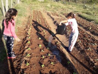 Estudantes do Polo 28 nas atividades de educação no campo