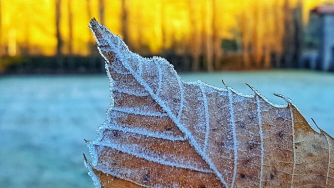 inverno