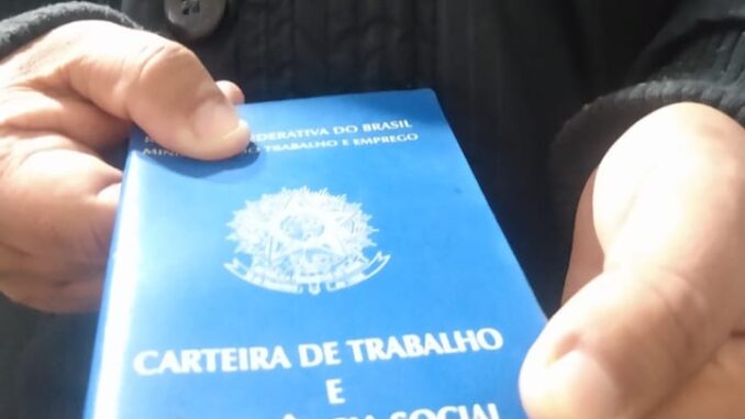 carteira