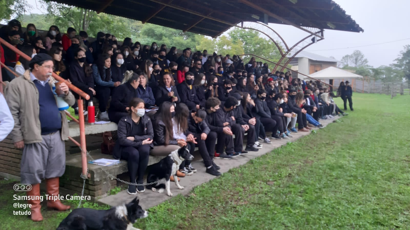Público no adestramento de cães