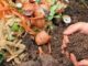 oficina de compostagem