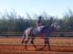 Ouro Real de Alegrete disputa hoje, uma das finais no Jockey Club