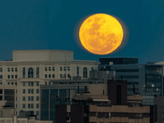 Superlua