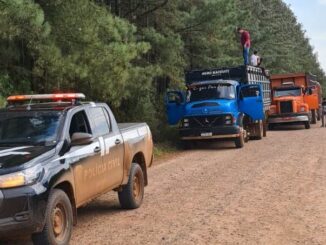 DECRAB intensifica fiscalização em carga de animais vivos em Alegrete