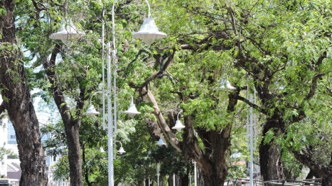 Novas lumináraias na Avenida Freitas Valle Novas lumináraias na Avenida Freitas Valle