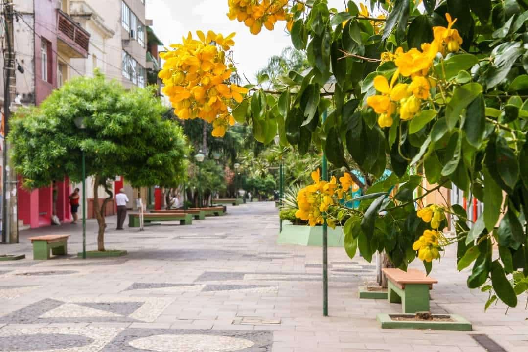 Calçadão Hélio Riacciardi