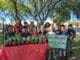 Mostra da EMEB Luiza de Freitas Valle - temperos naturais - 2º ano